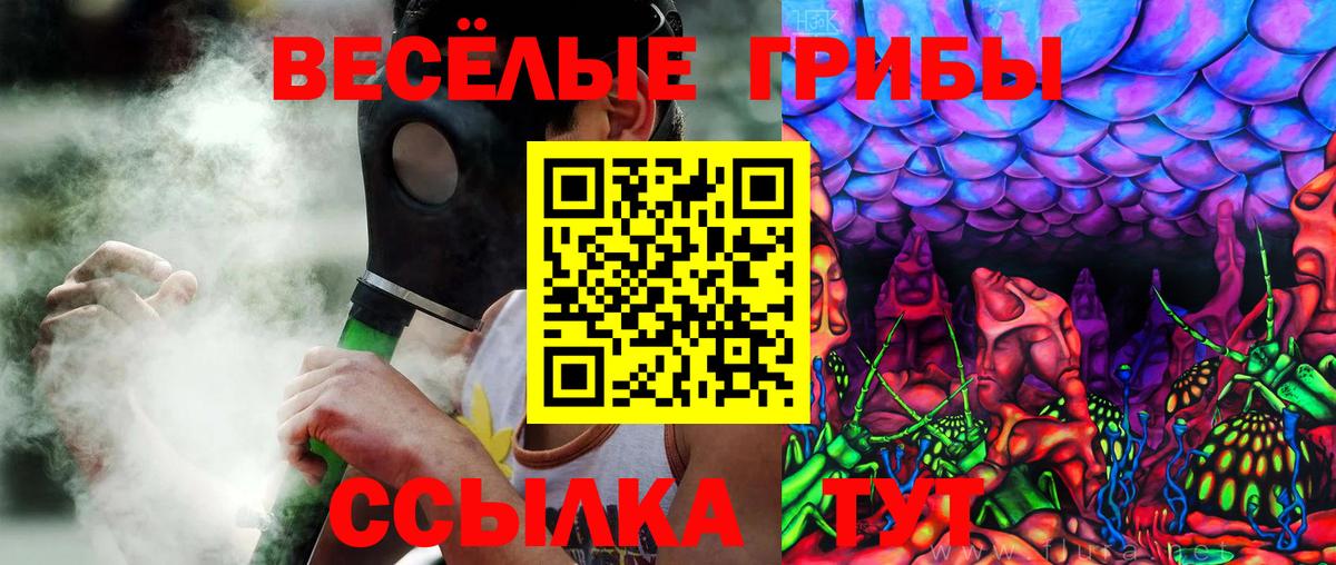 Ленинск-Кузнецкий  Галлюциногенные грибы Cubensis  Вход с VPN  Галлюциногенные грибы Psilocybine cubensis 