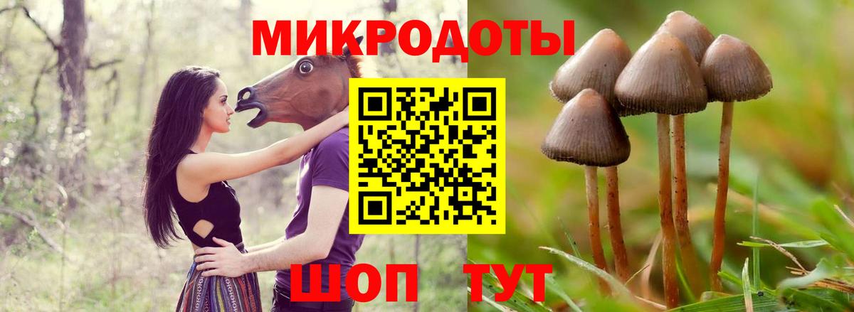 Галлюциногенные грибы ЛСД Ленинск-Кузнецкий